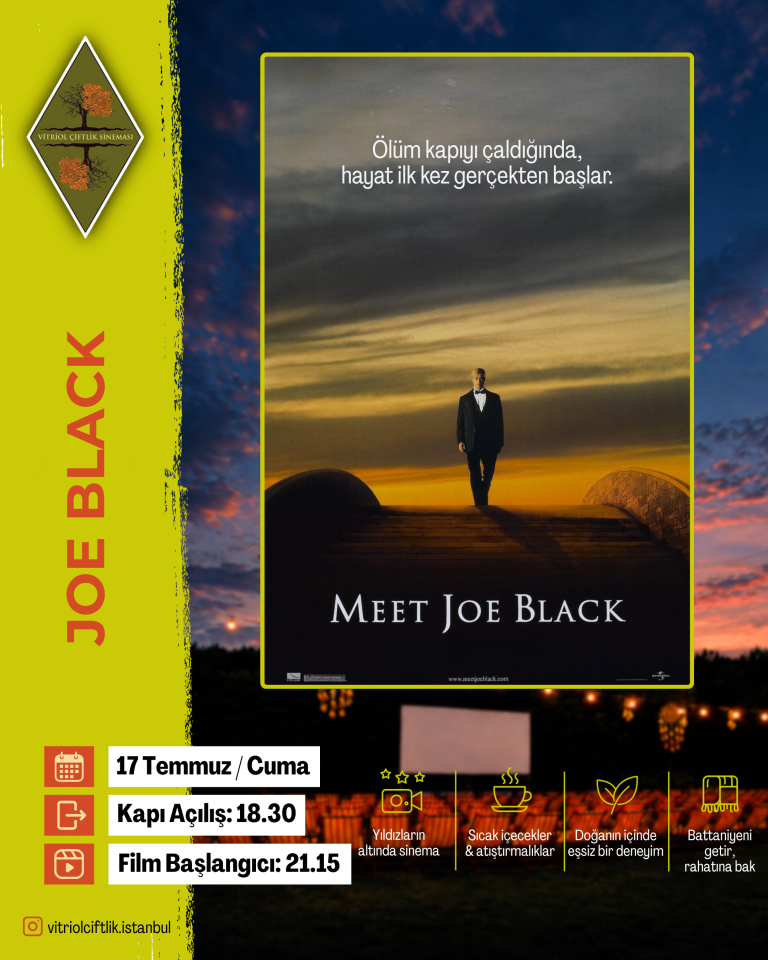 17 Temmuz Cuma Pazar Meet Joe Black
