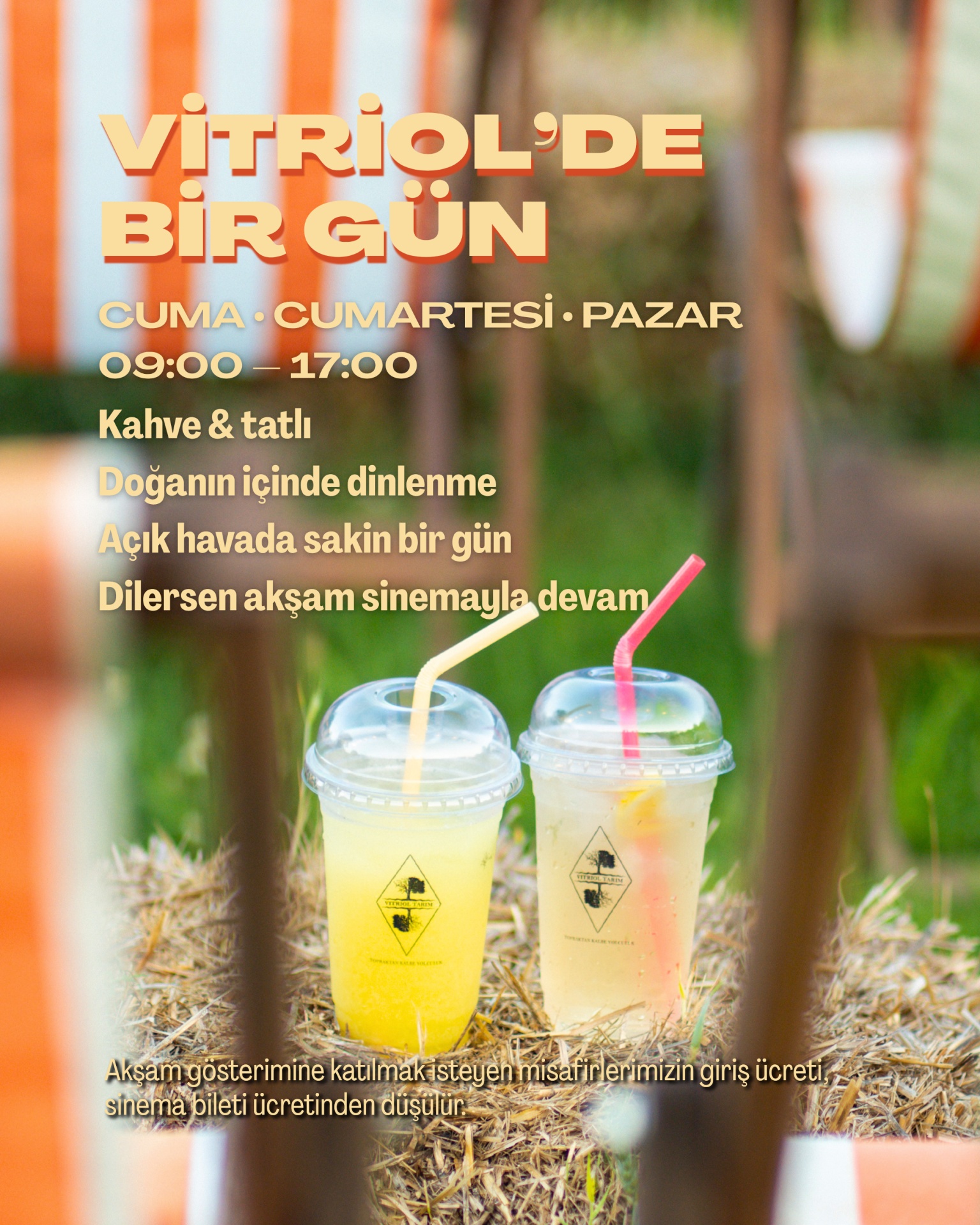 VİTRİOL CAFE’DE BİR GÜN